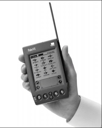Palm VII